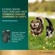 Vet Strength DMG Immunity Health für Hunde & Katzen, Hühnergeschmack - 50 Stück