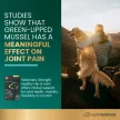 Vet Strength Healthy Hip & Joint Chews für Hunde, Huhn Geschmack - 60 Stück, 390g