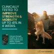 Ultimate Strength Healthy Hip & Joint Chews für Hunde Entengeschmack - 45 Stück