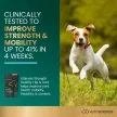 Ultimate Strength Healthy Hip & Joint Chews für kleine Hunde mit Entengeschmack - 60 Stück
