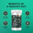 Vet Strength Gut Health Pulver für Hunde und Katzen - 60g