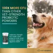 Vet Strength Gut Health Pulver für Hunde und Katzen - 60g